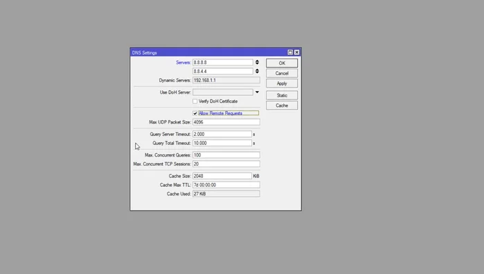 Configurar opciones avanzadas de DNS (tamaño de paquetes, tiempos de consulta, etc.) según sea necesario. (Opcional)