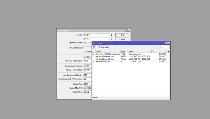 Configurar el tamaño y tiempo de vida de la caché DNS según las necesidades de la red.