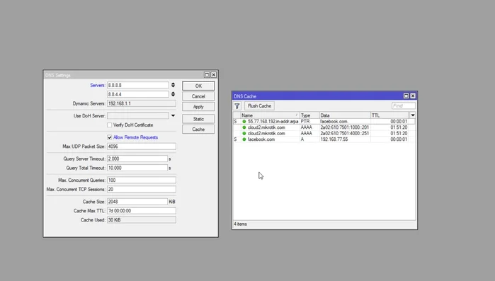 Configurar el tamaño y tiempo de vida de la caché DNS según las necesidades de la red.