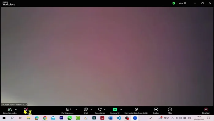 Vuelve a ingresar a Zoom.