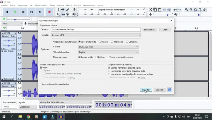 Añadir etiquetas (opcional) a cada archivo.