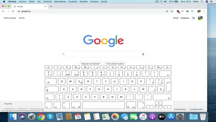 Confirmar que se desea forzar la salida si se solicita.