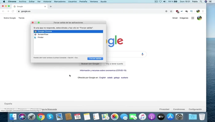 Confirmar que se desea forzar la salida si se solicita.