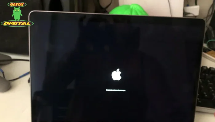 Selecciona las opciones de arranque.