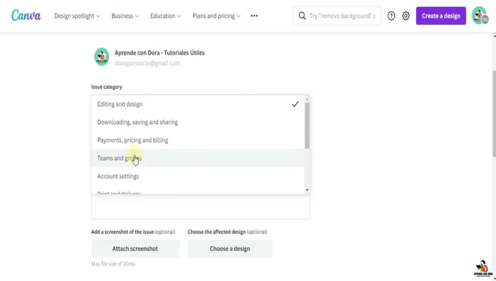 Enviar la consulta presionando el botón 'Submit'.