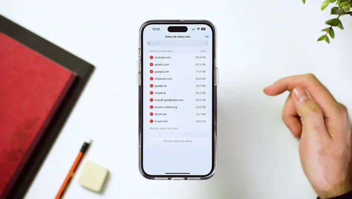 Borrar datos de sitios web individualmente o todos a la vez.