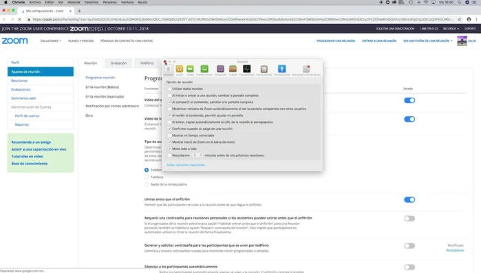 Verifica que la opción aparezca en gris (deshabilitada).