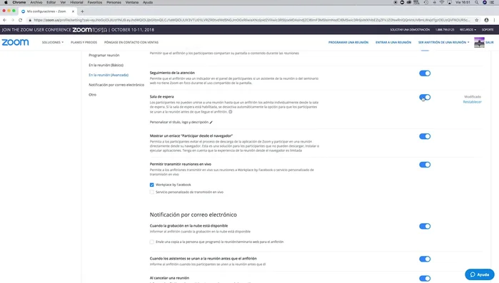 Verifica que la opción aparezca en gris (deshabilitada).