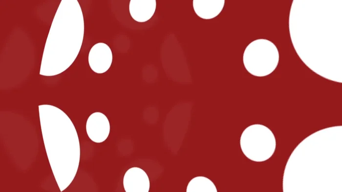 Lee las instrucciones de la tarea.