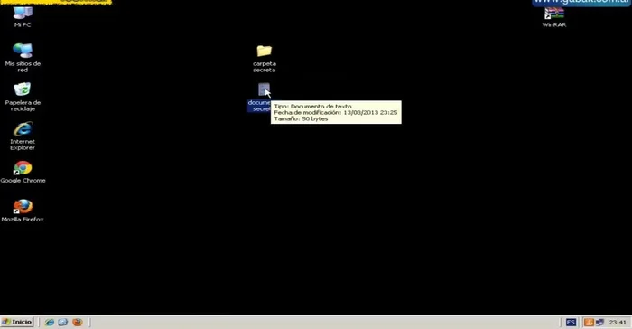 Introducir y confirmar la contraseña deseada. (Opcional: marcar 'Mostrar contraseña' para verificar la escritura).