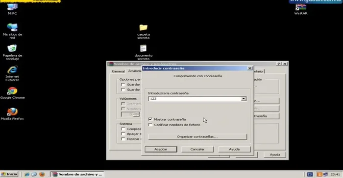Introducir y confirmar la contraseña deseada. (Opcional: marcar 'Mostrar contraseña' para verificar la escritura).