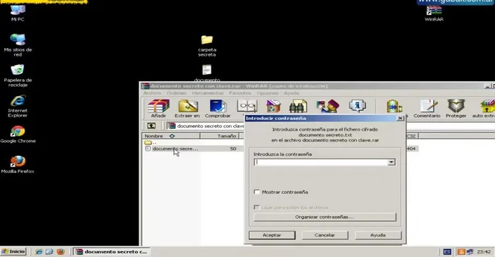 Para acceder al contenido, hacer doble clic en el archivo y escribir la contraseña correcta.