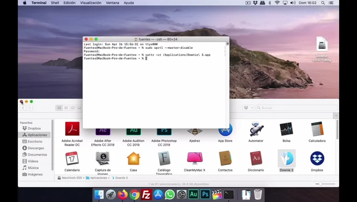 Presionar Enter. La terminal procesará la información y la aplicación debería funcionar correctamente.