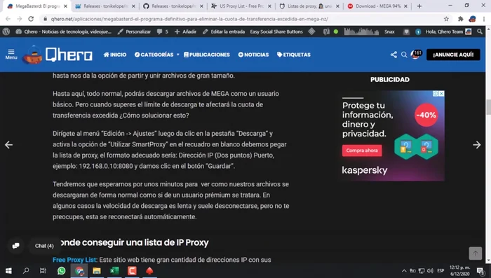 En my-name.info, selecciona HTTP y HTTPS y haz clic en 'Mostrar'. Copia la lista de proxies y pégalas en un archivo Excel (opcional) para facilitar la gestión.