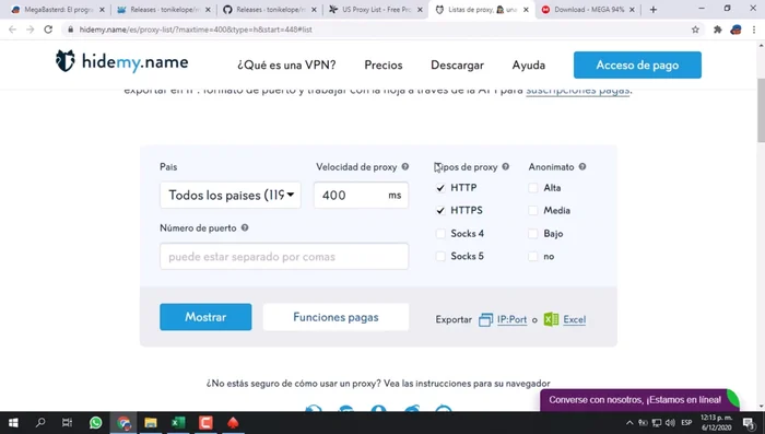 En my-name.info, selecciona HTTP y HTTPS y haz clic en 'Mostrar'. Copia la lista de proxies y pégalas en un archivo Excel (opcional) para facilitar la gestión.