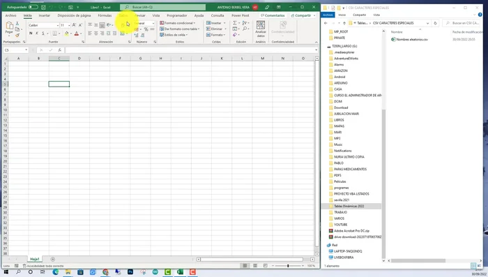 Si no se abre directamente la información, seleccionar 'Abrir como archivo de texto'.