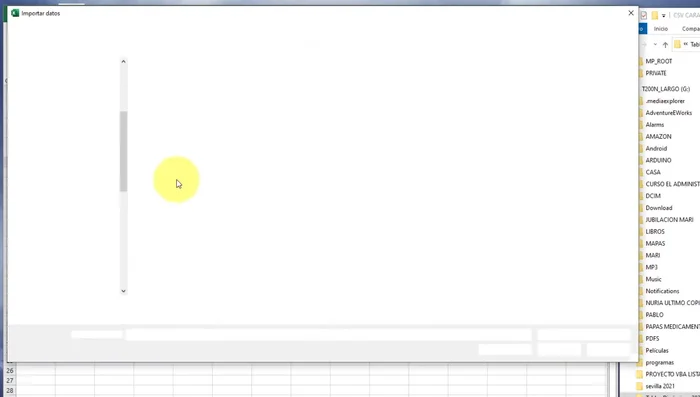 Si no se abre directamente la información, seleccionar 'Abrir como archivo de texto'.