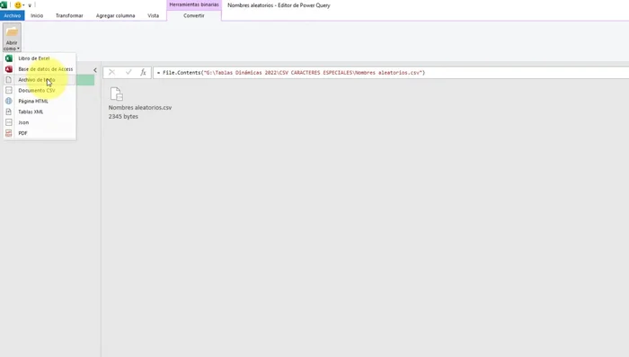 Si no se abre directamente la información, seleccionar 'Abrir como archivo de texto'.