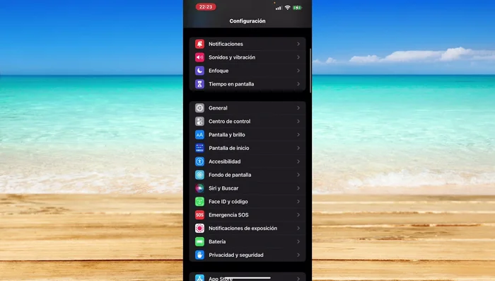 Selecciona "Pago y envío".