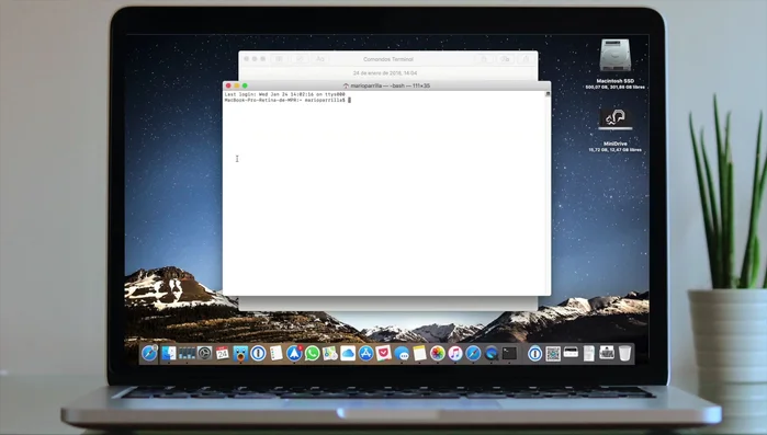 Espera a que la limpieza de caché se complete. Esto se indica cuando aparece de nuevo el nombre de tu equipo y usuario al final de la terminal.
