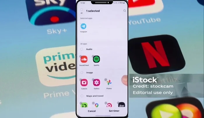 Elimina el temporizador de la aplicación seleccionada.