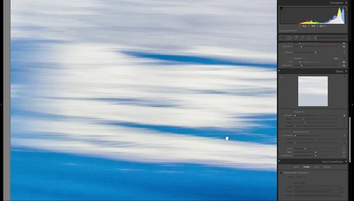 Aplicar reducción de ruido de color y luminancia para limpiar la imagen, sin perder detalles.