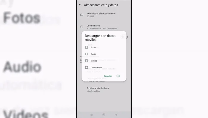 Desactivar los tipos de archivos que no quieres que se descarguen automáticamente con WiFi.