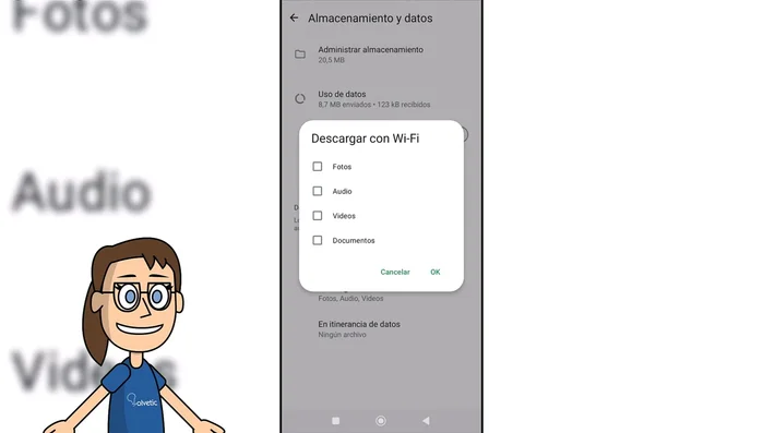 Desactivar los tipos de archivos que no quieres que se descarguen automáticamente con WiFi.