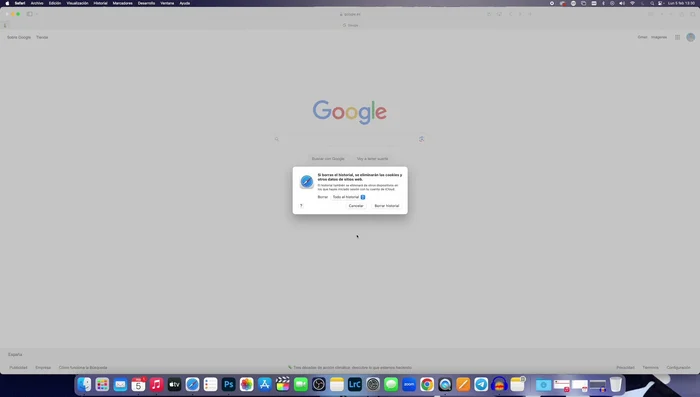 Configurar la eliminación automática de ítems del historial en Safari (para prevenir futuros problemas).