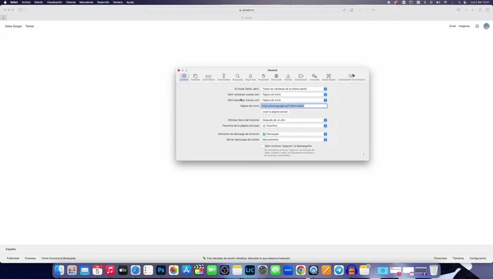 Configurar la eliminación automática de ítems del historial en Safari (para prevenir futuros problemas).