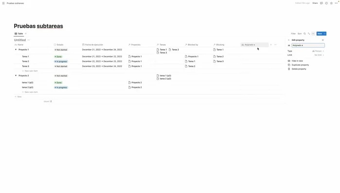 Añadir una columna para asignar personas a las tareas.