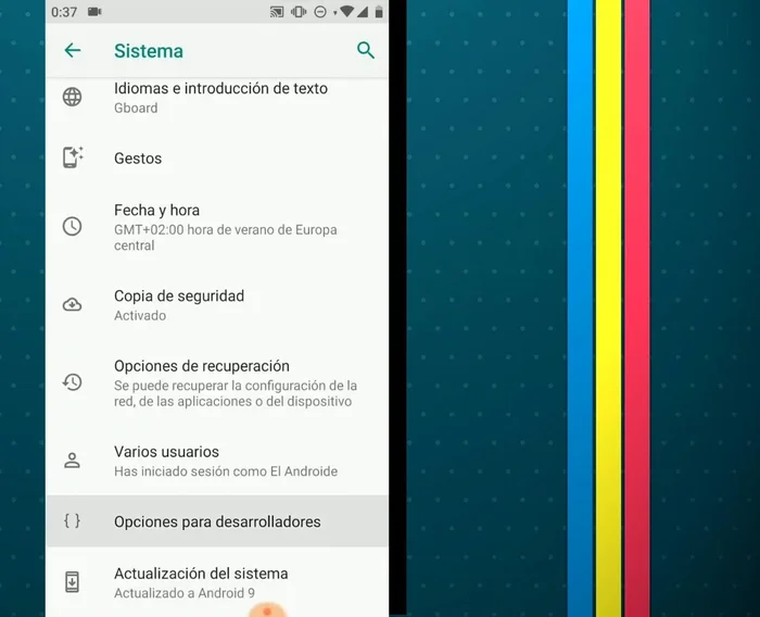 Verificar opciones de desarrollador (simular ubicación):