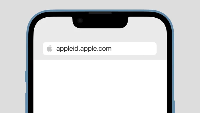 Acceder a sitios web oficiales (ej: appleid.apple.com) directamente a través de la barra de direcciones del navegador, verificando el ícono de candado para asegurar la conexión segura.