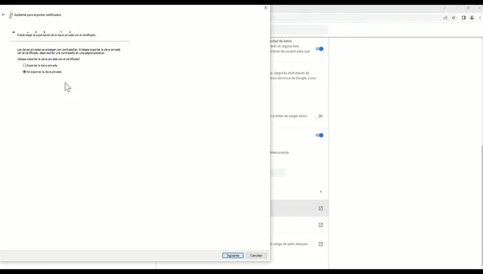 Establecer una contraseña NUEVA para proteger el certificado exportado.
