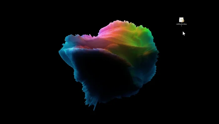 Guardar el archivo .pfx en un lugar seguro (pendrive, nube, disco duro externo).