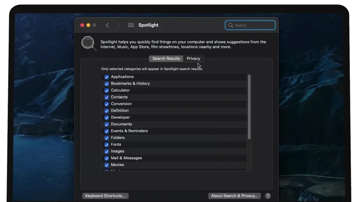 Ve a Spotlight y elige la pestaña de privacidad.