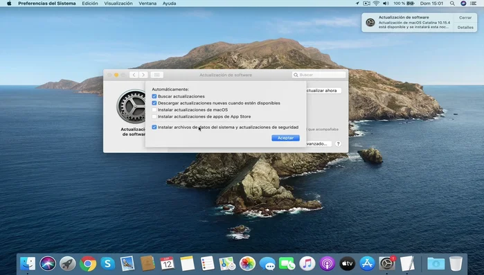 En la sección "Avanzado", desmarcar todas las opciones relacionadas con descargas y actualizaciones automáticas.