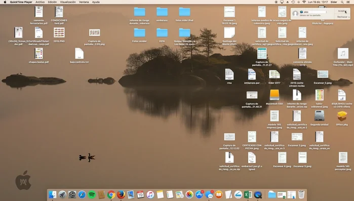 Una vez aceptada la invitación, se podrá ver la pantalla del otro usuario.