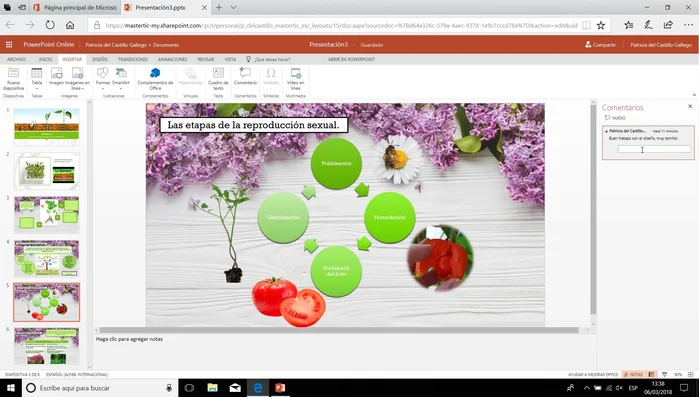 Responder a un comentario: