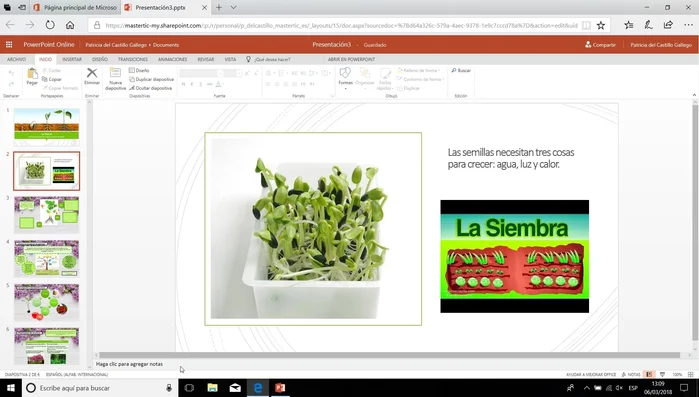Mostrar u ocultar el panel de notas:
