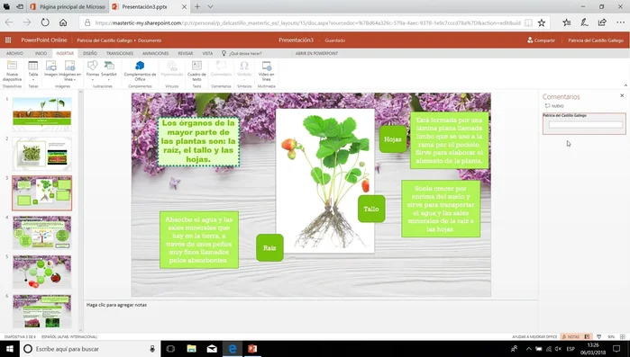 Responder a un comentario: