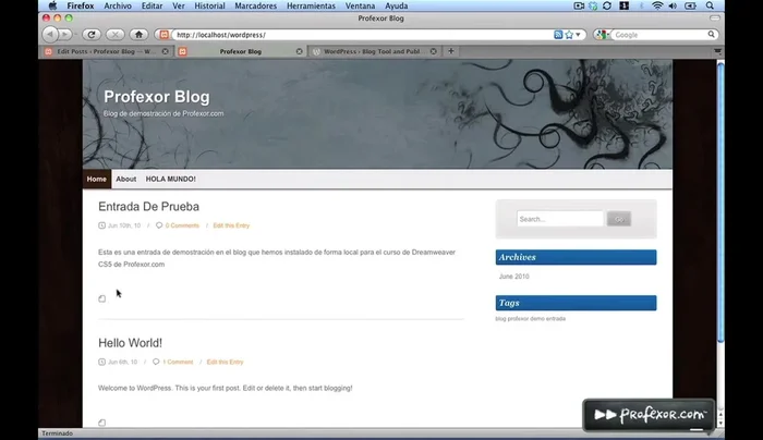 Verificar el resultado en el navegador web.
