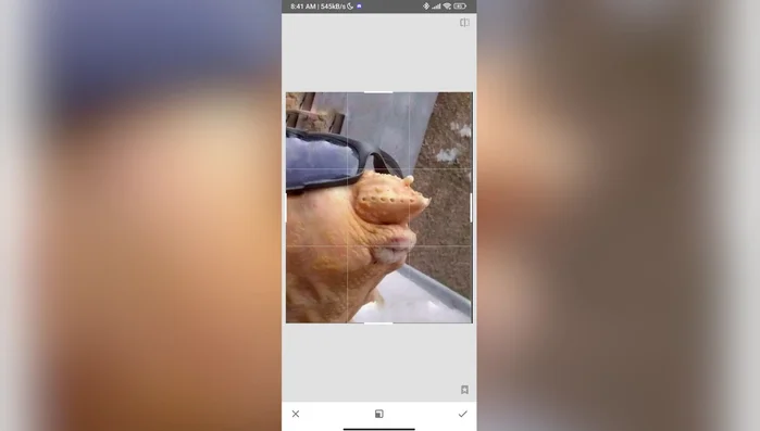 Sube la imagen a Instagram.