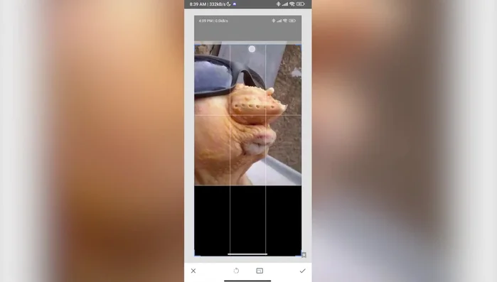 Recorta las franjas negras innecesarias, si las hay.