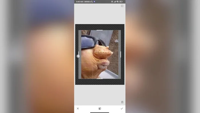 Expande la imagen a los lados hasta lograr un formato cuadrado.