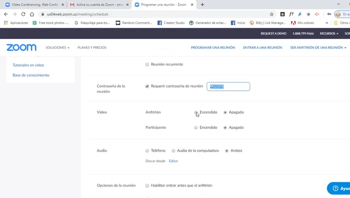 Configurar opciones de video y audio para el anfitrión.