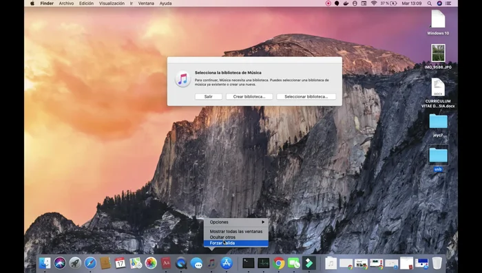 Selecciona 'Forzar salida'.