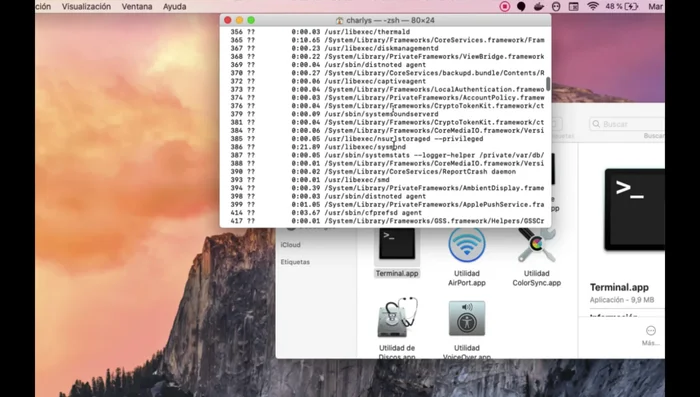 Busca el PID (identificador de proceso) de la aplicación.
