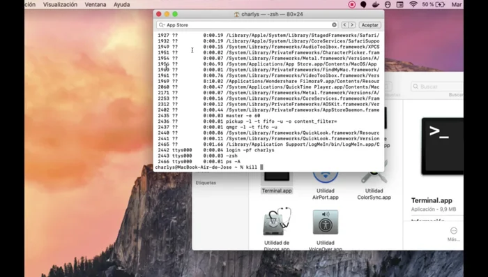 Ejecuta el comando `kill [PID]` (reemplazando '[PID]' con el PID de la aplicación).