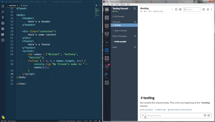 Selecciona 'Código o fragmento de texto'.